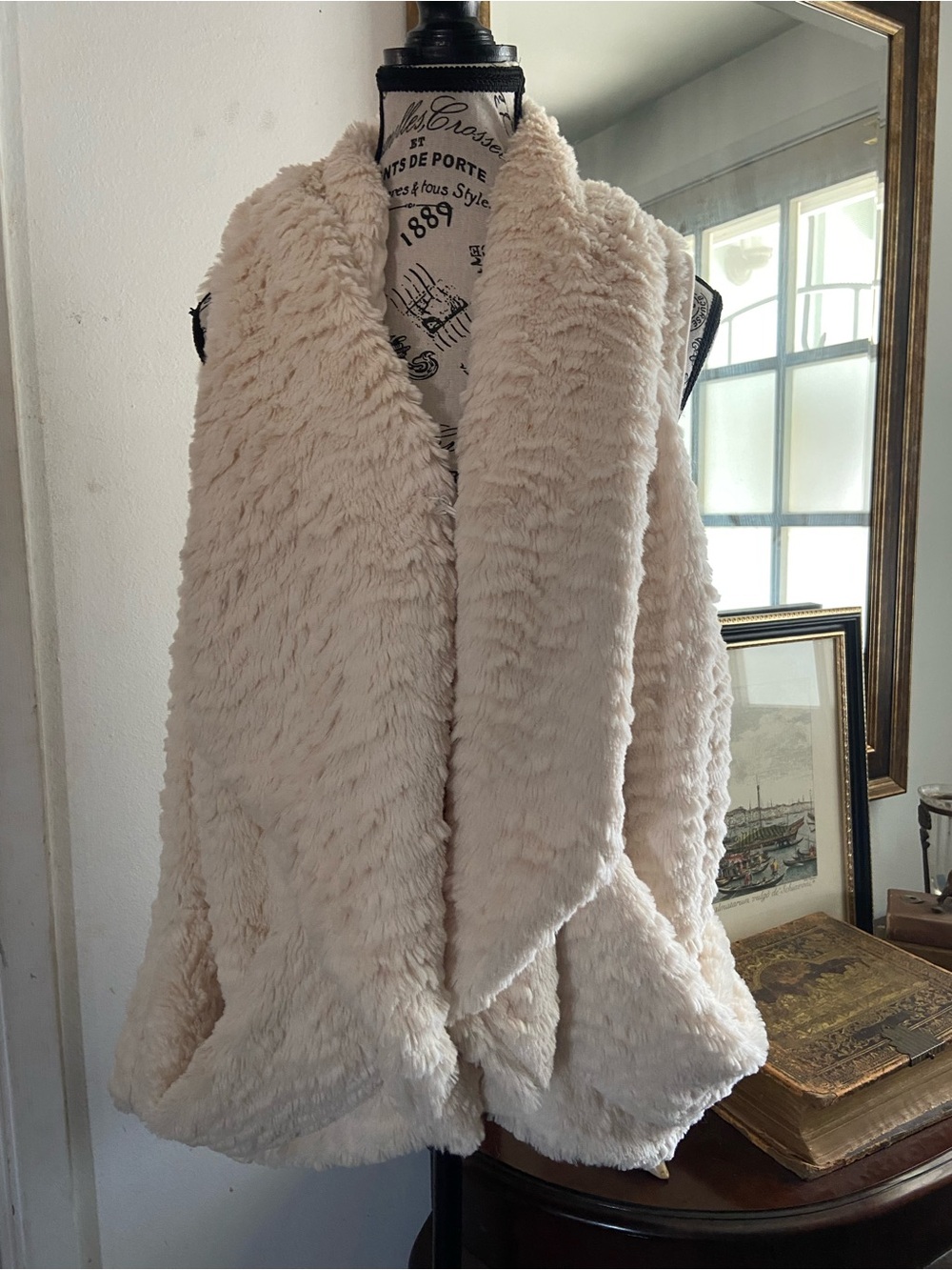 Democracy Cream Plush Faux Fur Teddy Jacket Vest